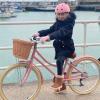 Vélo rose pour enfant 4 à 6 ans Vélo retro Gingersnap 16 pouces Bobbin