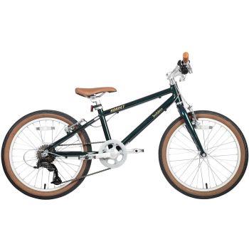 Vélo léger 20 pouces 5 - 8 ans vert foncé Hornet de Bobbin