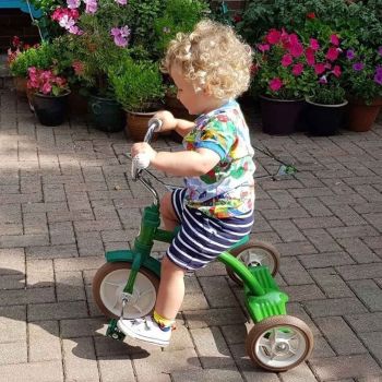 Grünes Dreirad aus Metall Italtrike