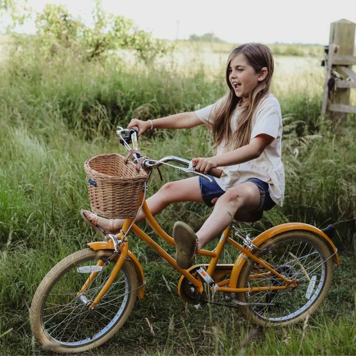 Vélo jaune pour enfants de 6 à 9 ans Bobbin Gingersnap 20 pouces
